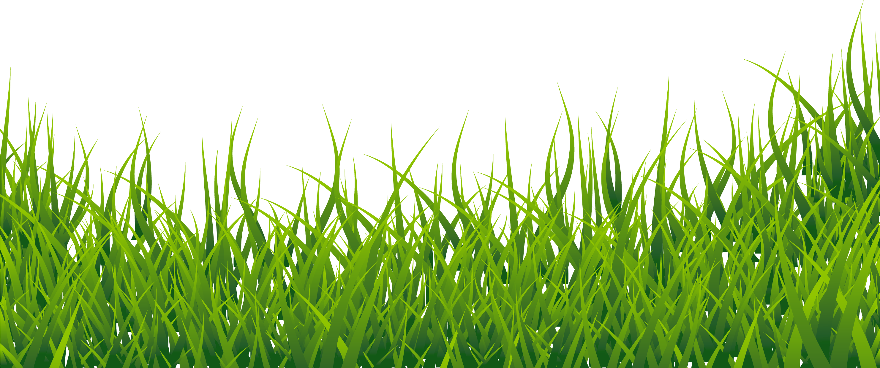 Grass Border Clipart Png - Grass Clipart (2962x1274), Png Download