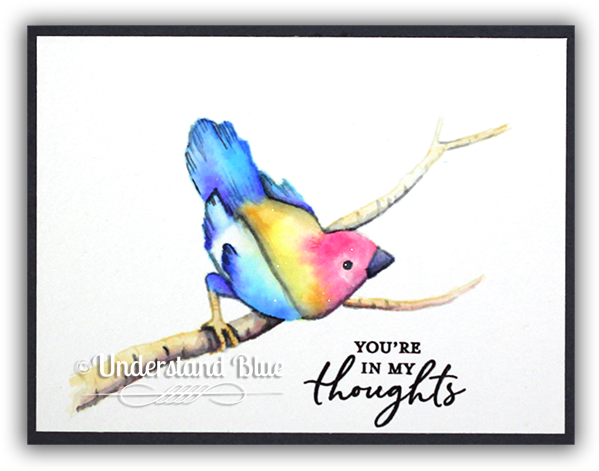 Songbird Watercolor By Understand Blue - Budgie (650x519), Png Download