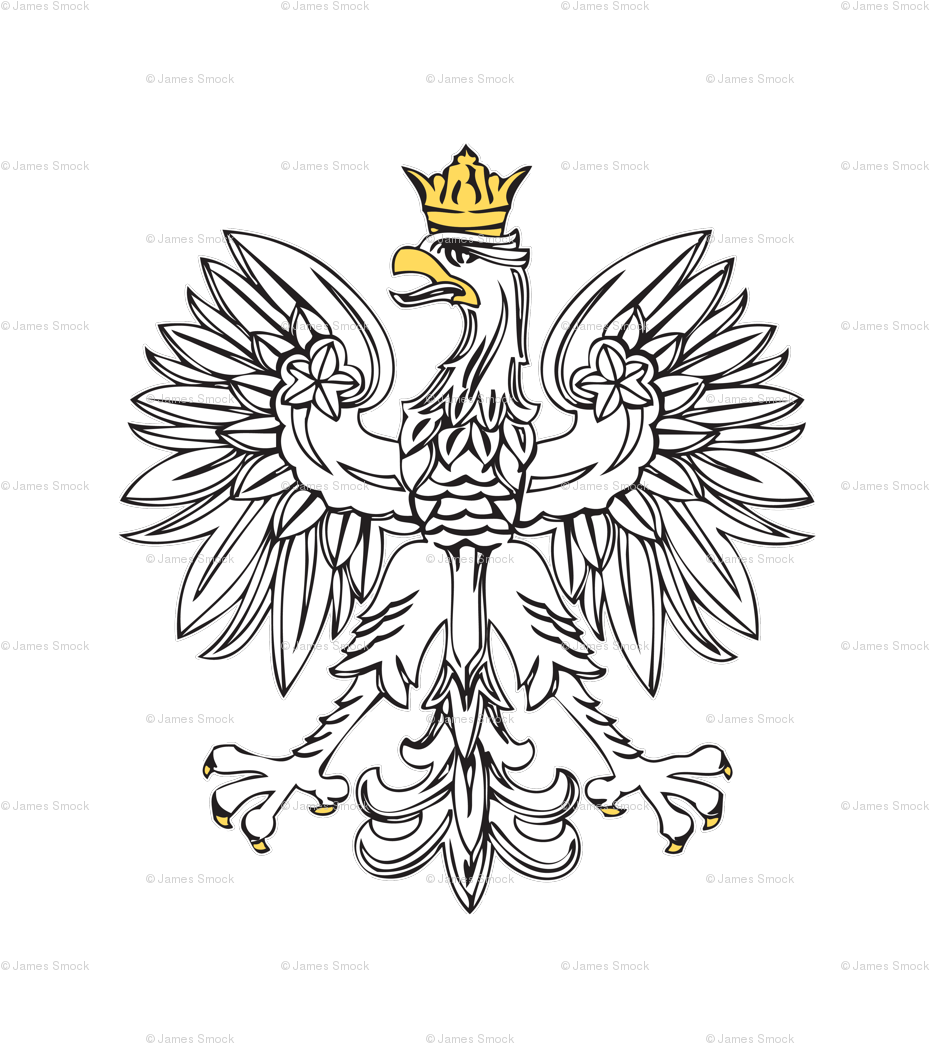Cafepress Polish Eagle With Gold Crown Square Sticker (992x1118), Png Download