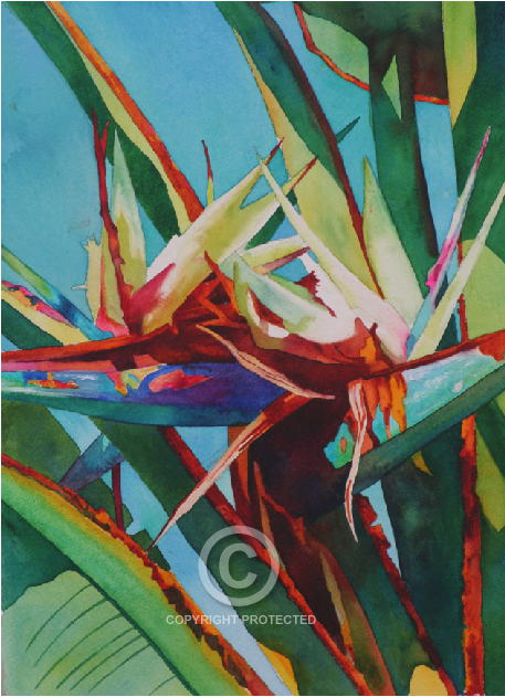 Anne Abgott Gallery - Stained Glass (1000x630), Png Download