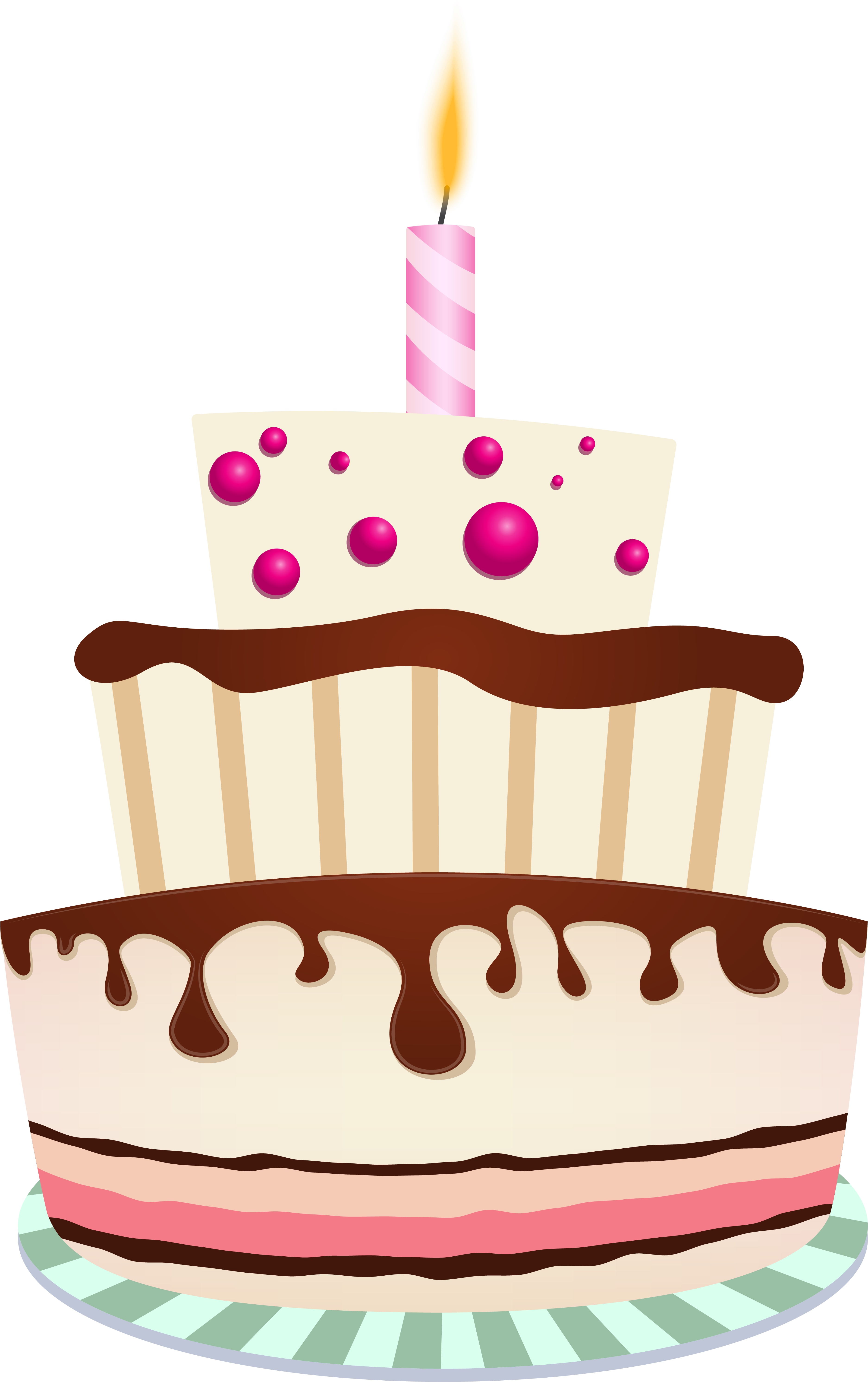 Graphic Royalty Free Stock Birthday Cake With Lots - Happy Birthday On Your Special Day (4123x6222), Png Download