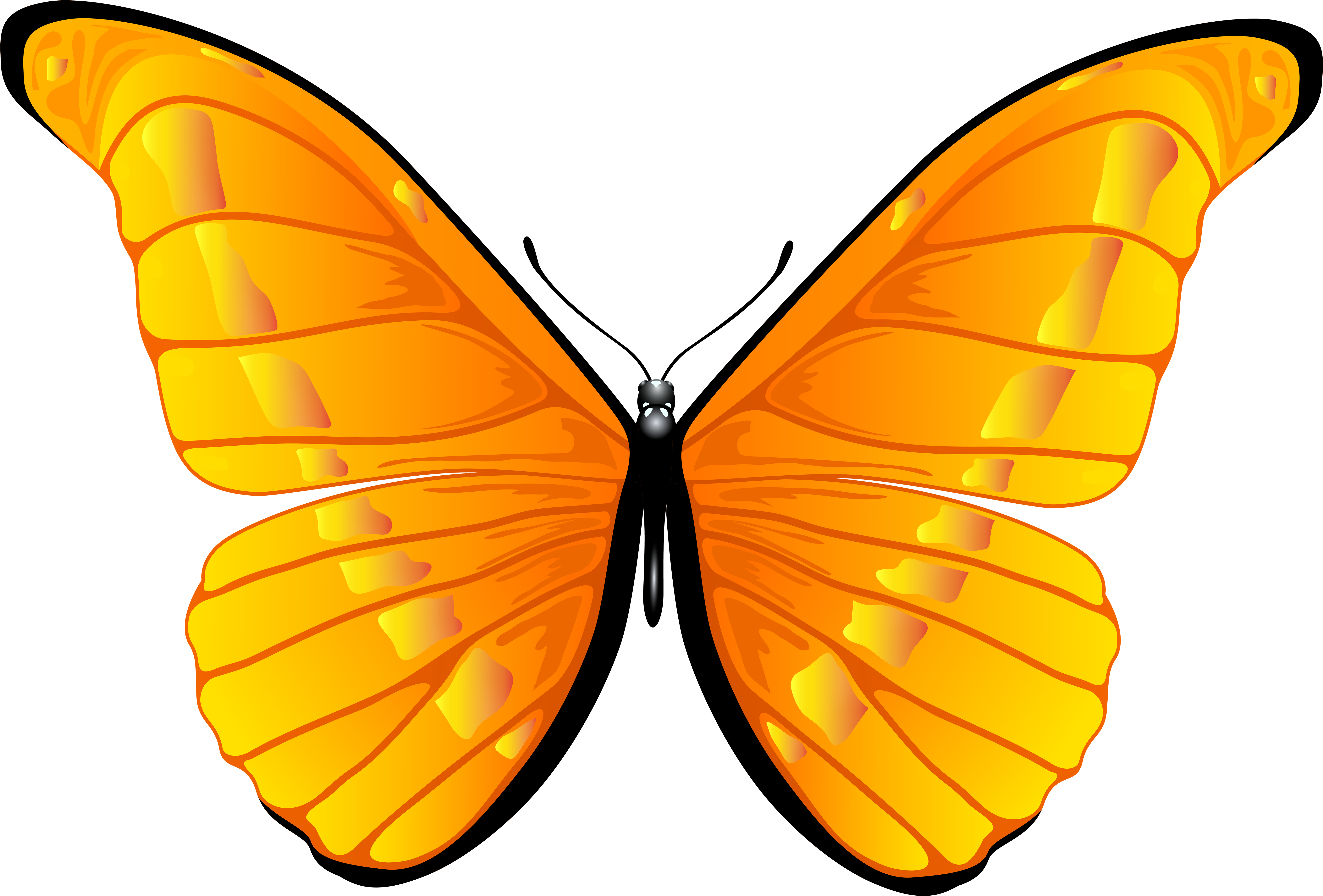 Butterfly Png (7000x4739), Png Download