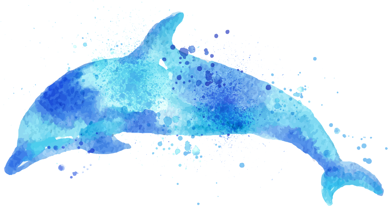 Report Abuse - Watercolor Dolphin Png (1378x1024), Png Download