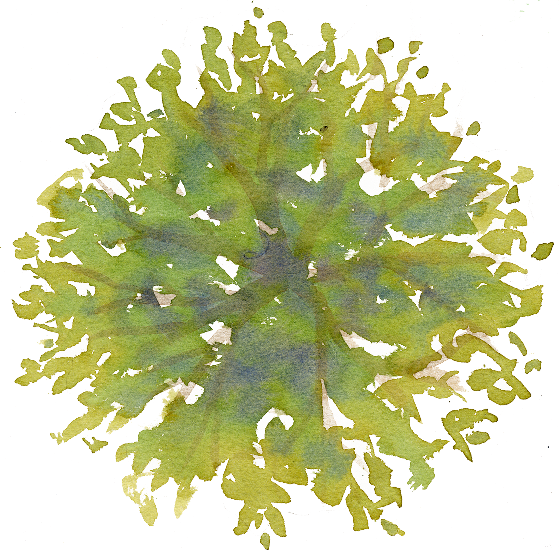 Top Transparent Pictures Free - Site Plan Trees Png (559x555), Png Download
