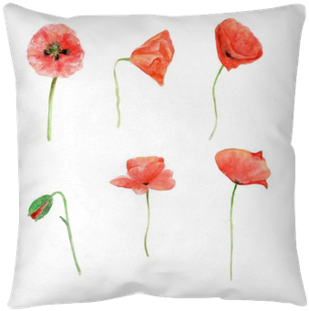 Red Poppy, Watercolor Flower Collection, Floral Hand - Papavero Acquerello (400x400), Png Download