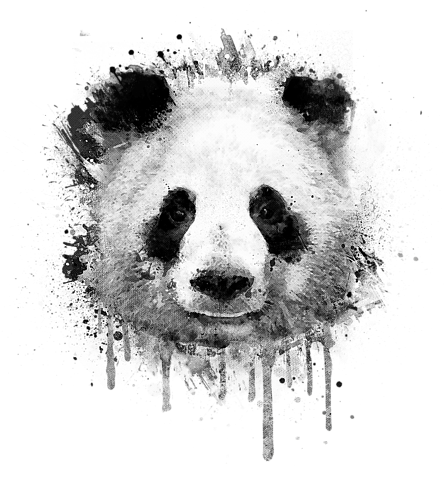 Graffiti Watercolor Panda Portrait In Black And - Panda Bear Background Abstract (452x700), Png Download