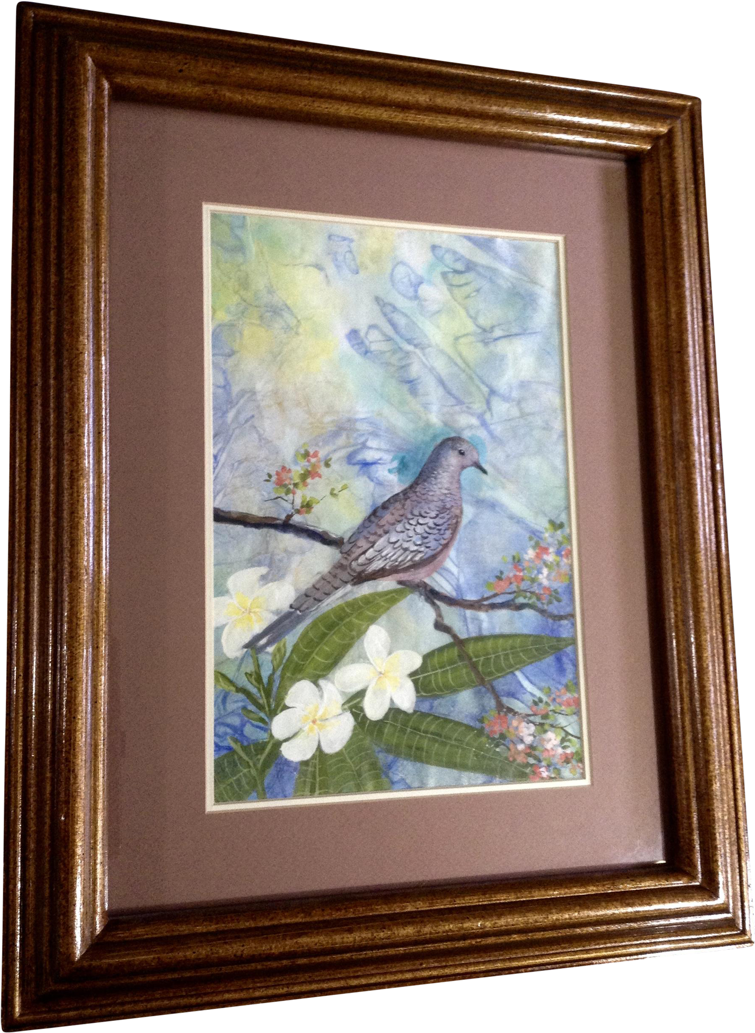 Cecelia Rodriguez, Watercolor Painting Dove Bird In - Watercolor Painting (2048x2048), Png Download