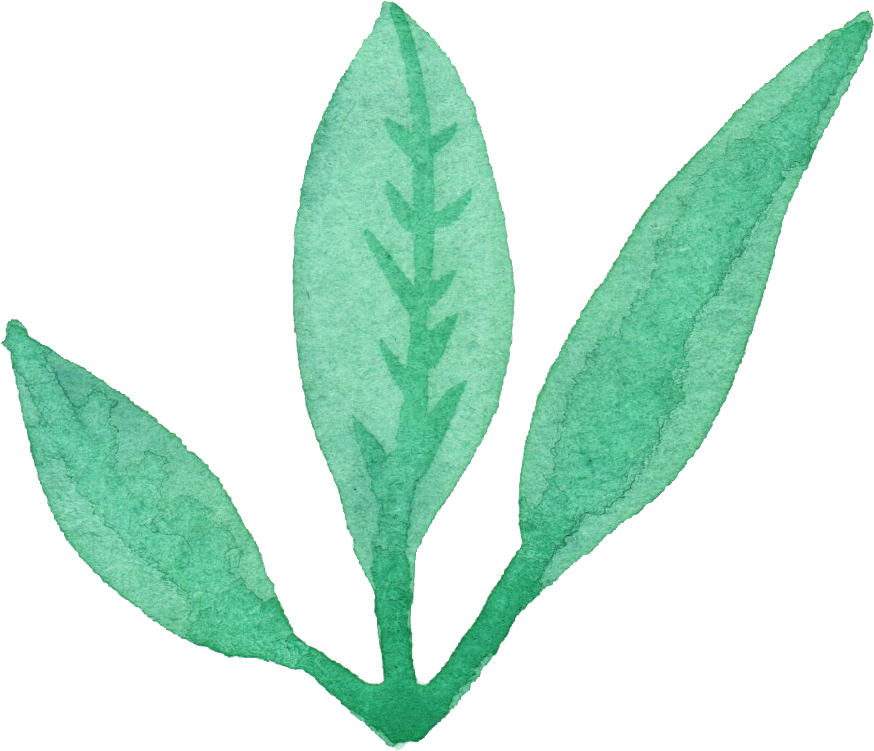 25 Watercolor Leaf Png Transpa Vol 3 Onlygfx Com - Free Leaves Watercolor Png (874x751), Png Download