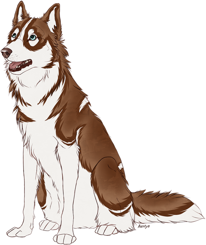 Drawing Husky Watercolor Image Royalty Free Library - Siberian Husky (880x908), Png Download