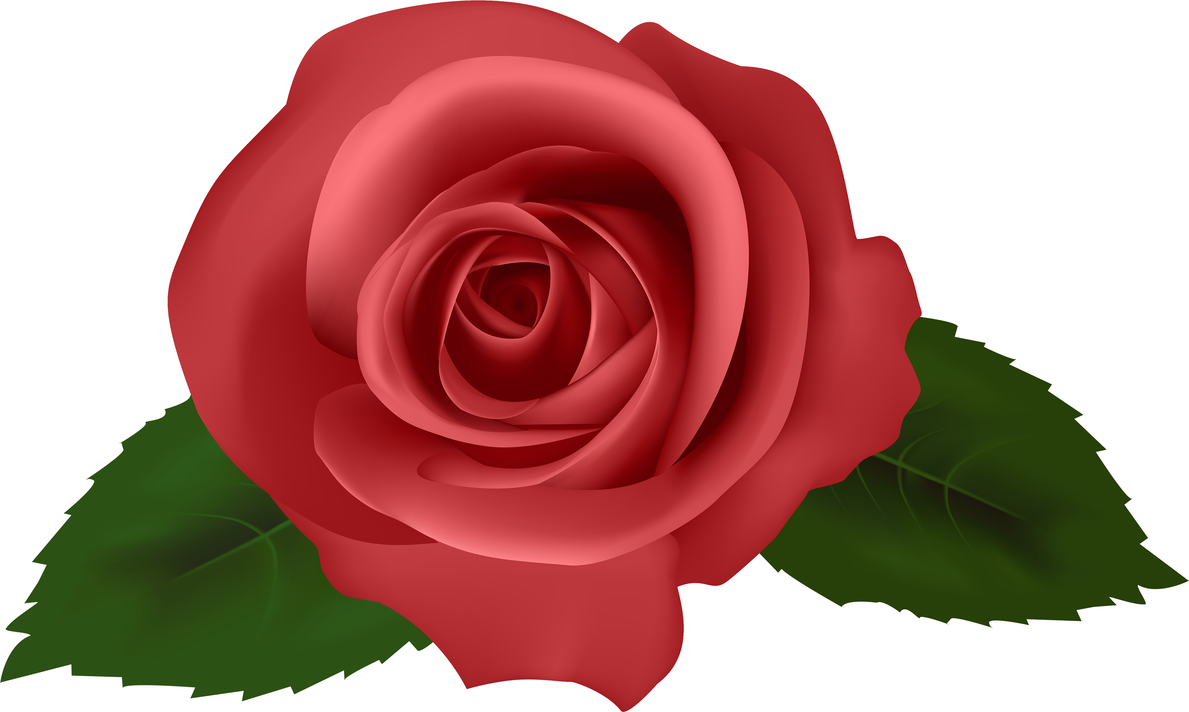 Net Photo, Flowers, Watercolor - Png Red Pink Flowers (4000x2531), Png Download