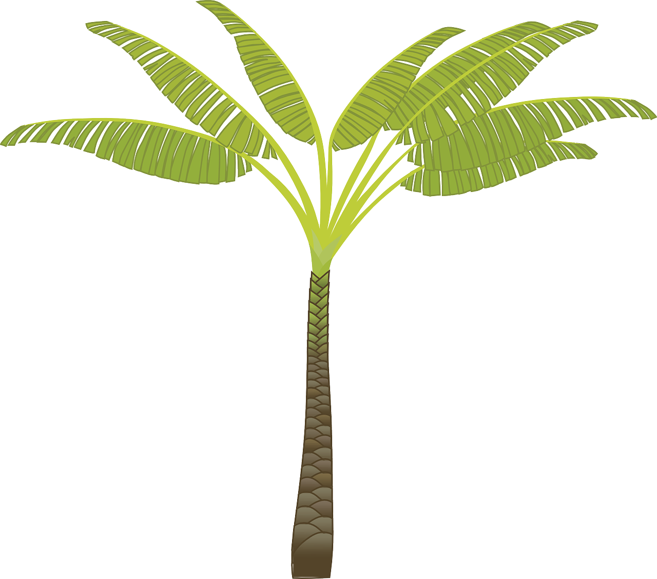 Palm Tree Png Images, Download Free Pictures - Tribe Has Spoken. Mug (999x879), Png Download