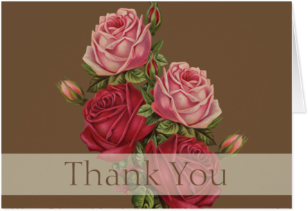 Antique Roses Thank You Note Card - Giclee Painting: Seed Catalogues: The Geo. H. Mellen (500x500), Png Download