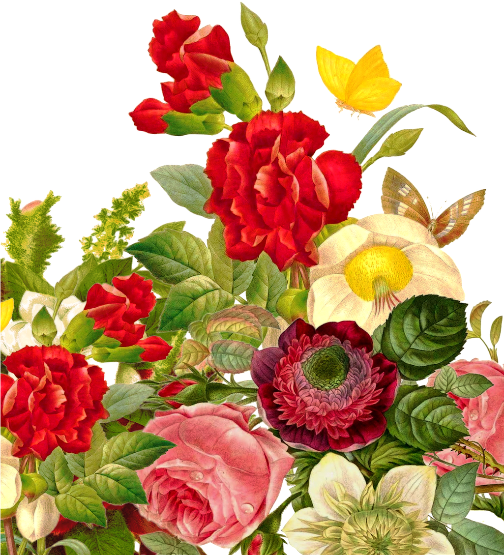 Clip Free Download Wedding Bouquet Rose Butterfly Flowerbouquet - Butterfly Flower Images Rose (1024x1280), Png Download