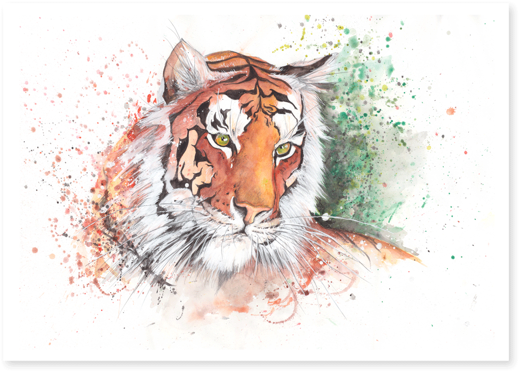 Power Tiger - Tiger Watercolor (1114x787), Png Download