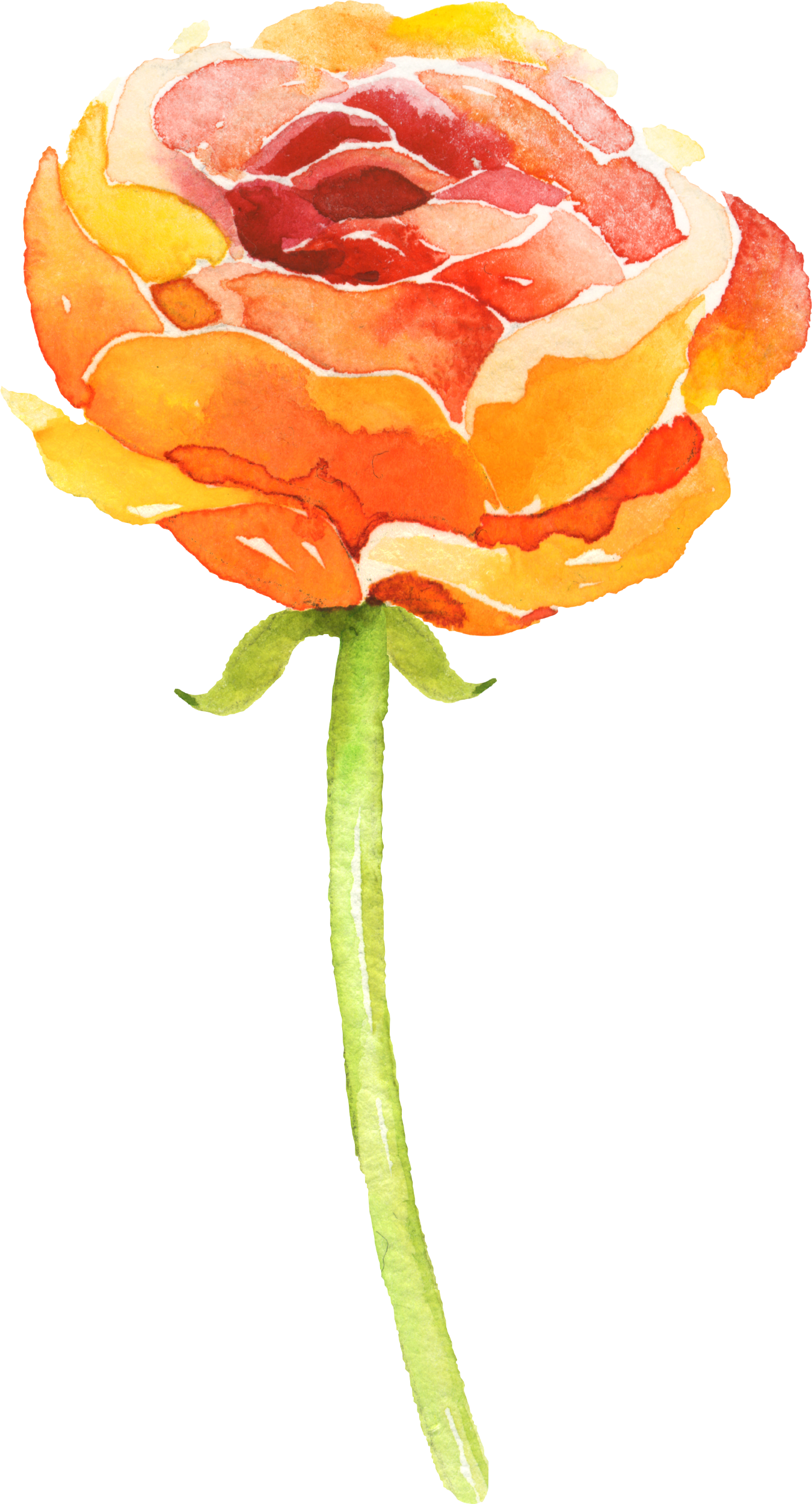 Blumen Malen - Png Flower Orange Watercolour (1350x2500), Png Download