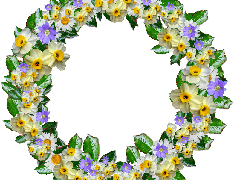 Real Flower Crown Clipart Png Free - Png Crown Of Flowers (800x600), Png Download