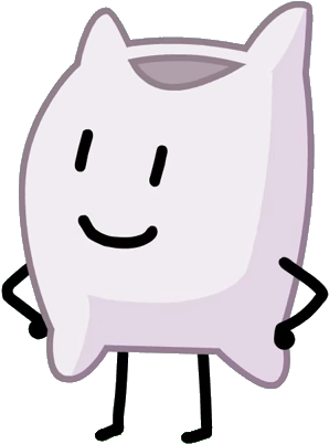 Bfb Pillow (309x411), Png Download
