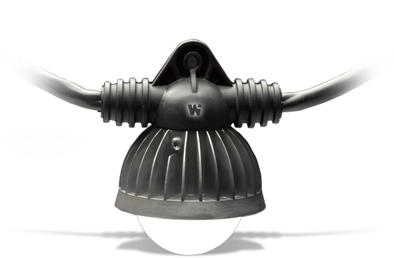 Molex Woodhead Led Stringlights - Molex (600x436), Png Download