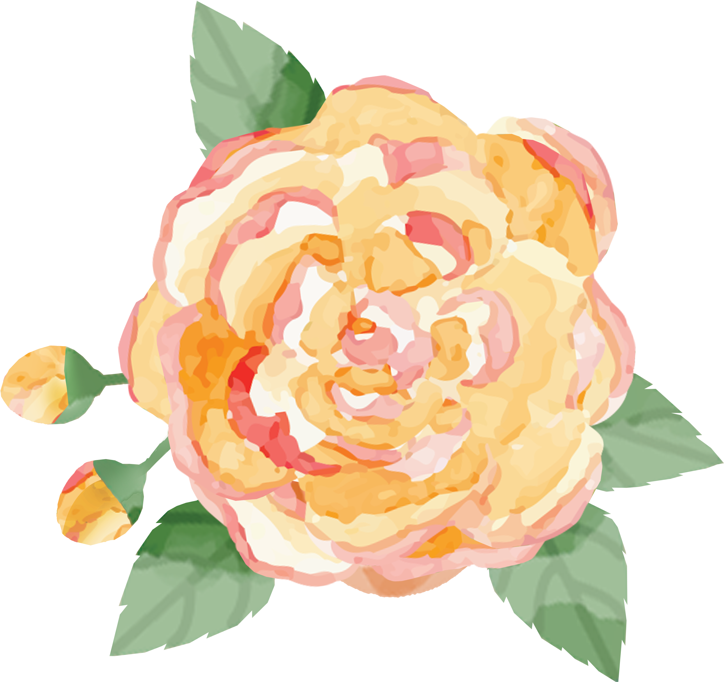 La Petite Rose Bakes - Garden Roses (2598x2598), Png Download