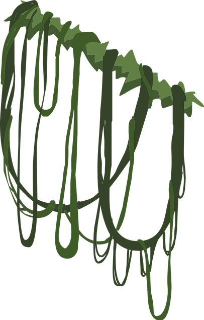 Hanging Vines - Animal Jam Hanging Vines (406x636), Png Download