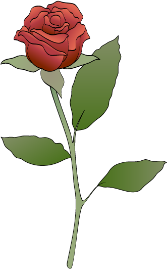 Red Roses - Red Rose Pic Art (344x558), Png Download