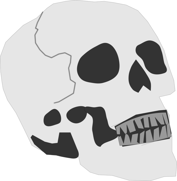 Skull And Crossbones Human Skeleton - Clipart Skull Head Small (735x750), Png Download