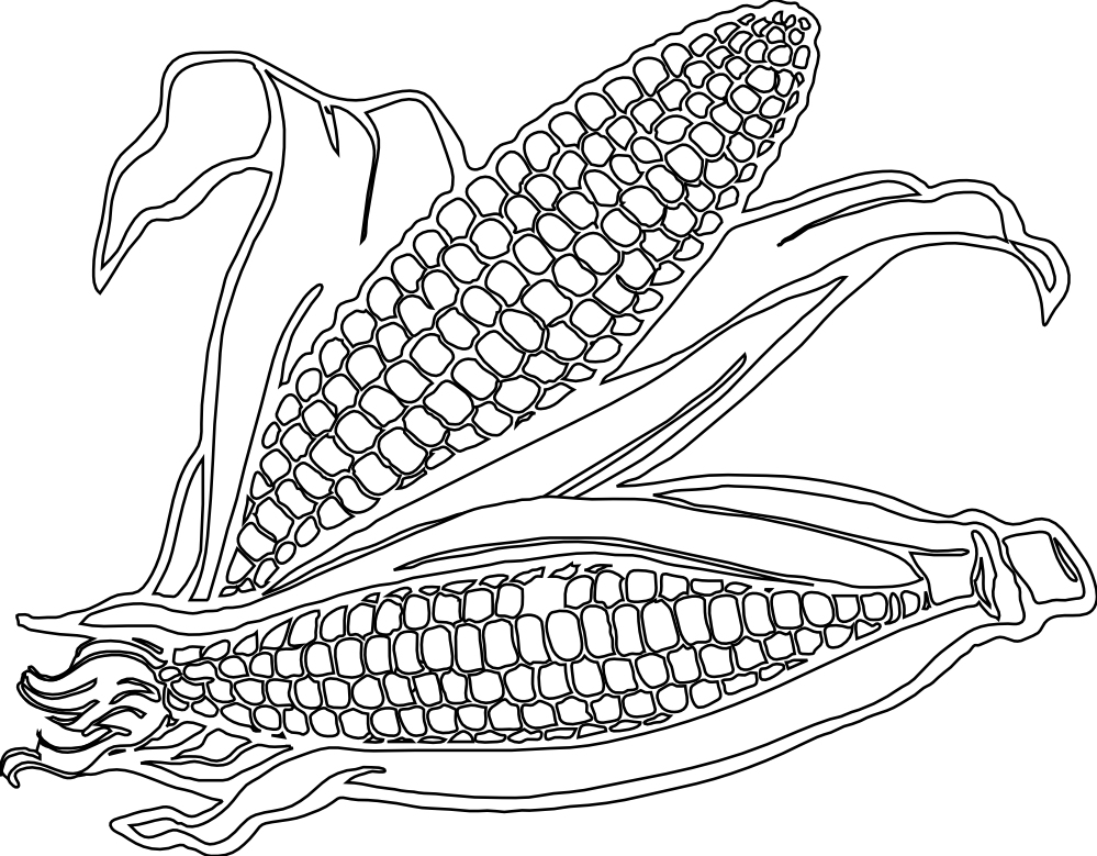 28 Collection Of Corn Drawing Png - Corn Clipart Black And White Png (999x779), Png Download