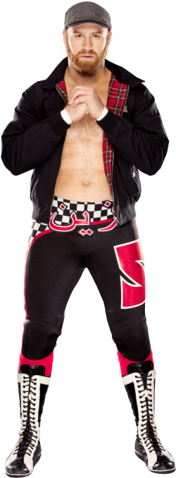 Sami Zayn - New Wwe Sami Zayn Wallpaper 2017 (320x728), Png Download