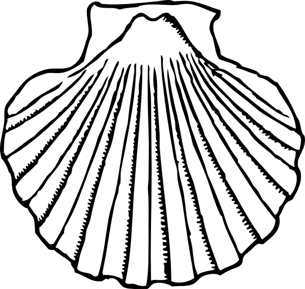 Seashell Shells Clipart Clipart - Clip Art Black And White Shell (600x569), Png Download