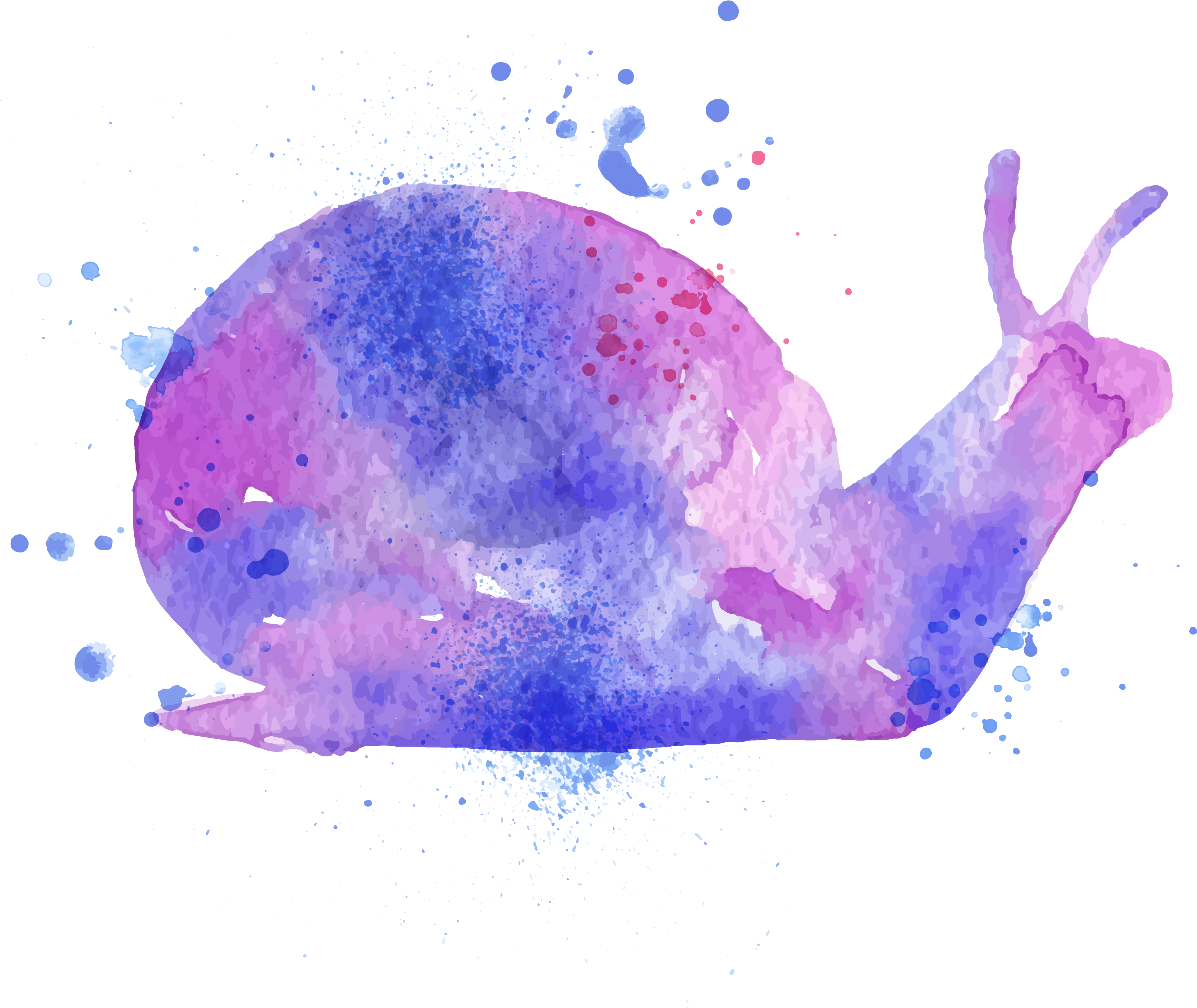 Watercolor Painting Orthogastropoda Drawing Illustration - Watercolor Painting (5000x3715), Png Download
