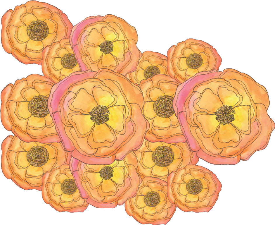 0 Replies 0 Retweets 0 Likes (1000x800), Png Download