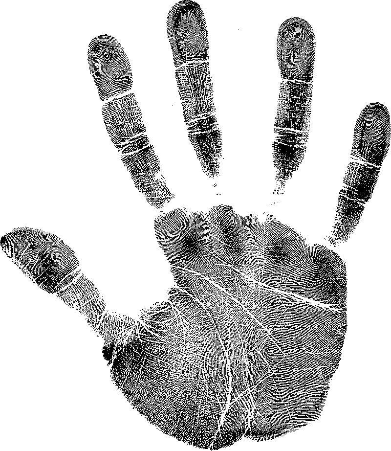 Palm Hand Print (800x922), Png Download