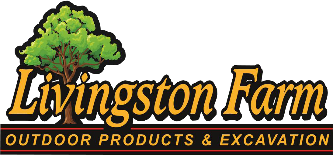 Memorial Day - Father's Day (1115x579), Png Download