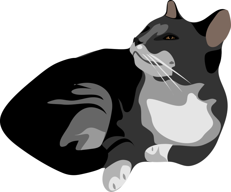 Cat Clipart Clear Background - Transparent Background Cat Clipart (408x340), Png Download