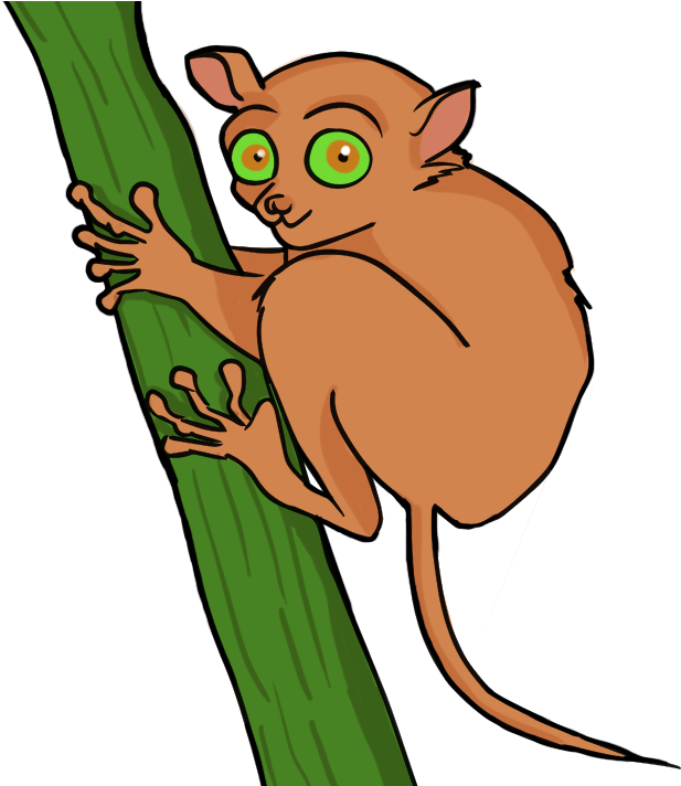 Soccer Player Clipart - Tarsier Clipart (671x711), Png Download