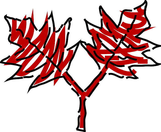 Red, Two, Tree, Plant, Vine, Leaves, Bush, Shrub - Trist Efterår Træ Png (640x527), Png Download