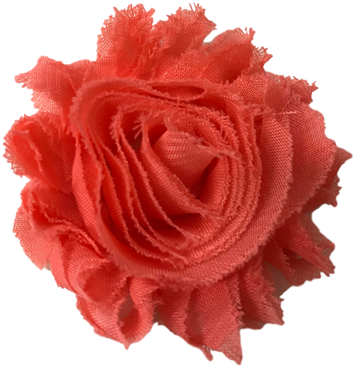 Flower (563x750), Png Download