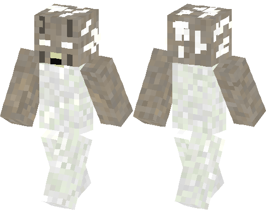 Download Skin Minecraft Vs Granny (528x418), Png Download