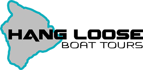 Graphic Design (500x247), Png Download