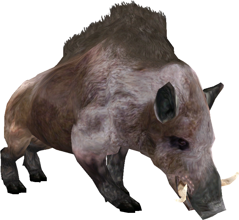 Beast Oblivian Boar - Boar Elder Scrolls (913x783), Png Download