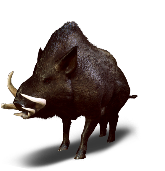 Witcher 3 Wild Boar (654x727), Png Download