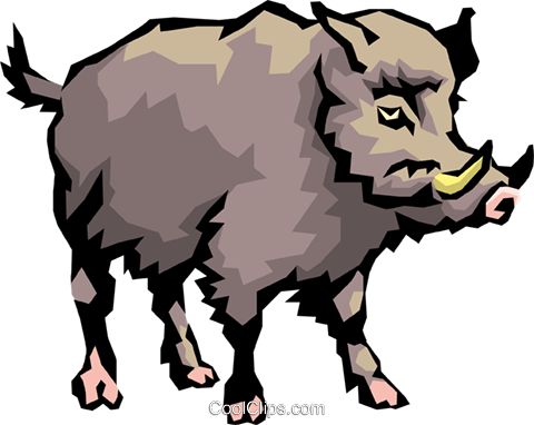 Wild Boar Royalty Free Vector Clip Art Illustration - Transparent Wild Boar Clipart (480x382), Png Download