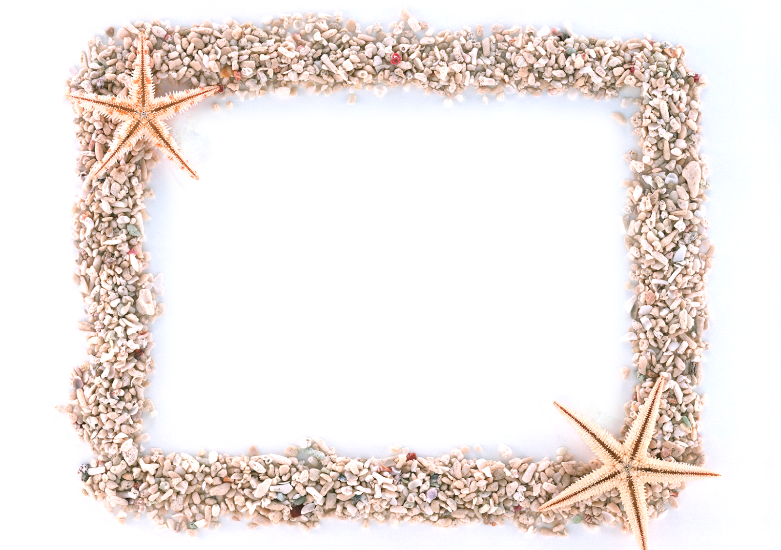 Estrellitas De Mar - Fotos (1600x1127), Png Download