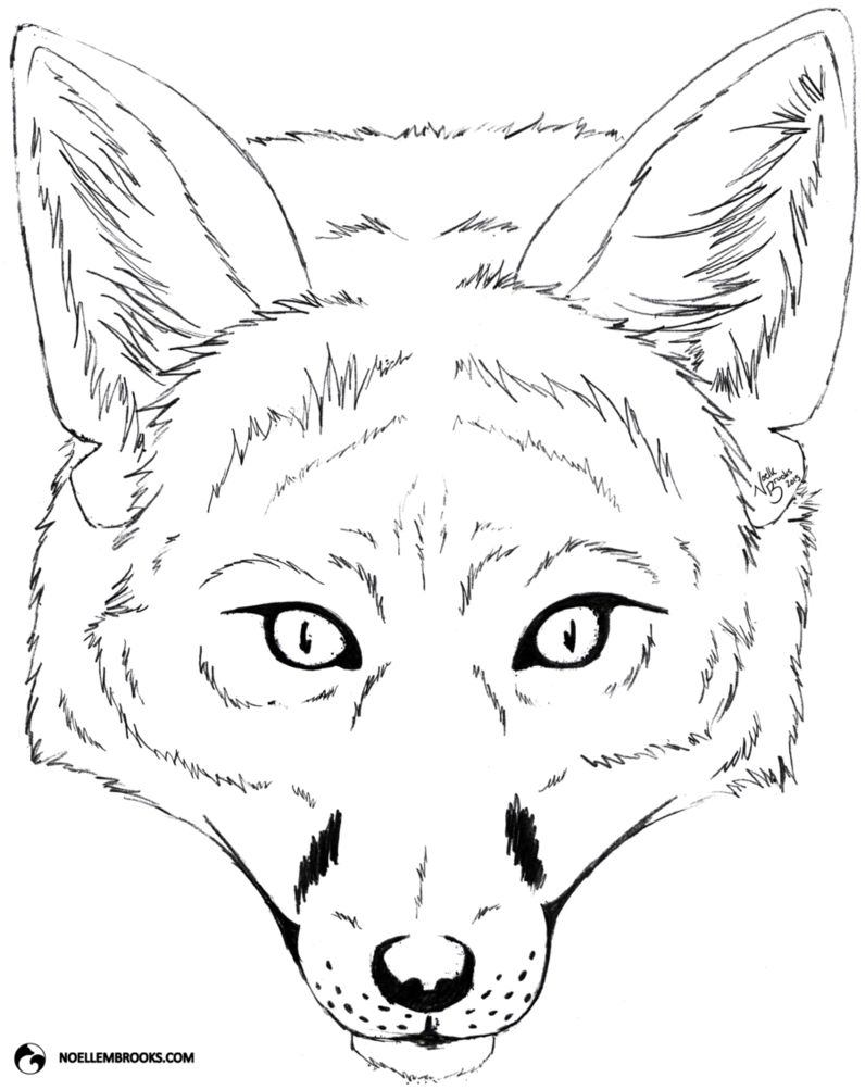 Fox Face Drawing Pictures - Line Art (796x1003), Png Download