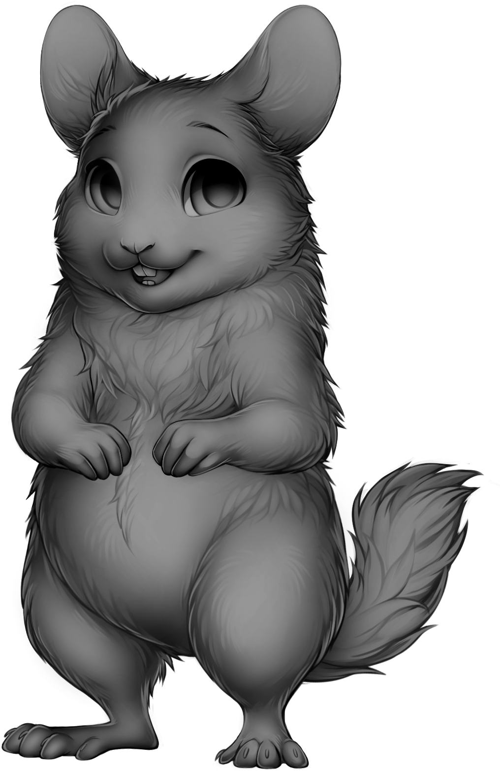 Rodent Chinchilla - Illustration (1065x1601), Png Download