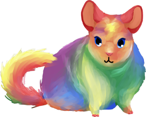 Pastel Gay Pride Chinchilla~ - Prince (500x402), Png Download