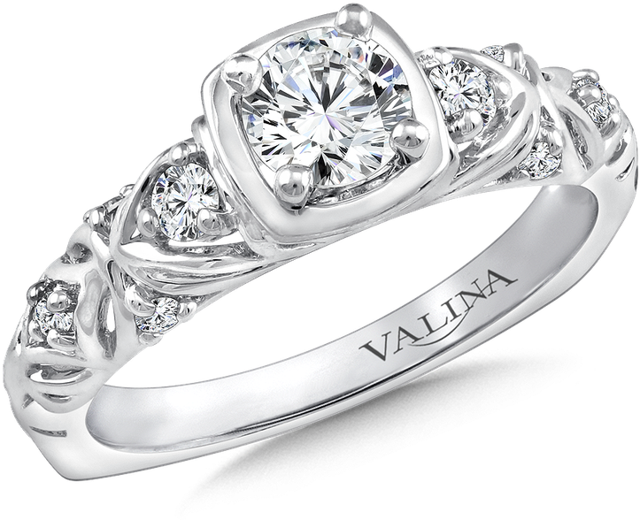 Valina Diamond Engagement Ring Mounting In 14k White - Channel Set Round Diamond Engagement Ring - .98 Carat (800x800), Png Download