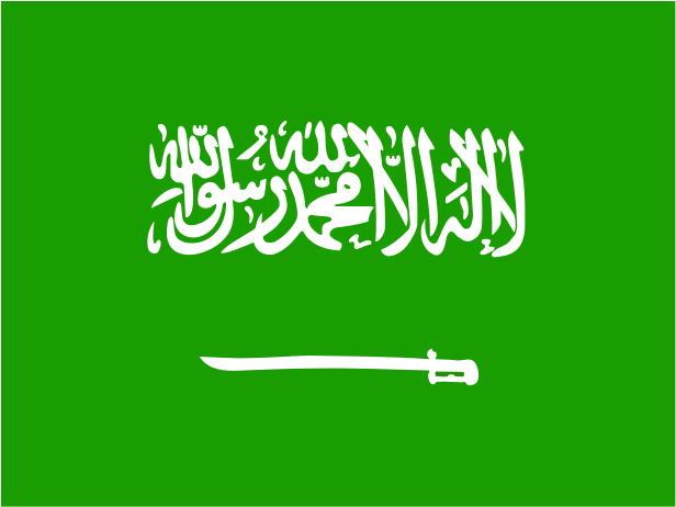 Flag Of Saudi Arabia Logo Png Transparent - Saudi Arabia National Country Flag Round Id Card Luggage (2400x1800), Png Download