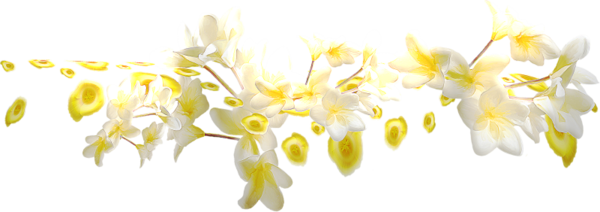 Testimonials From My Clients Madeline Rose - Yellow Flower Divider (600x212), Png Download