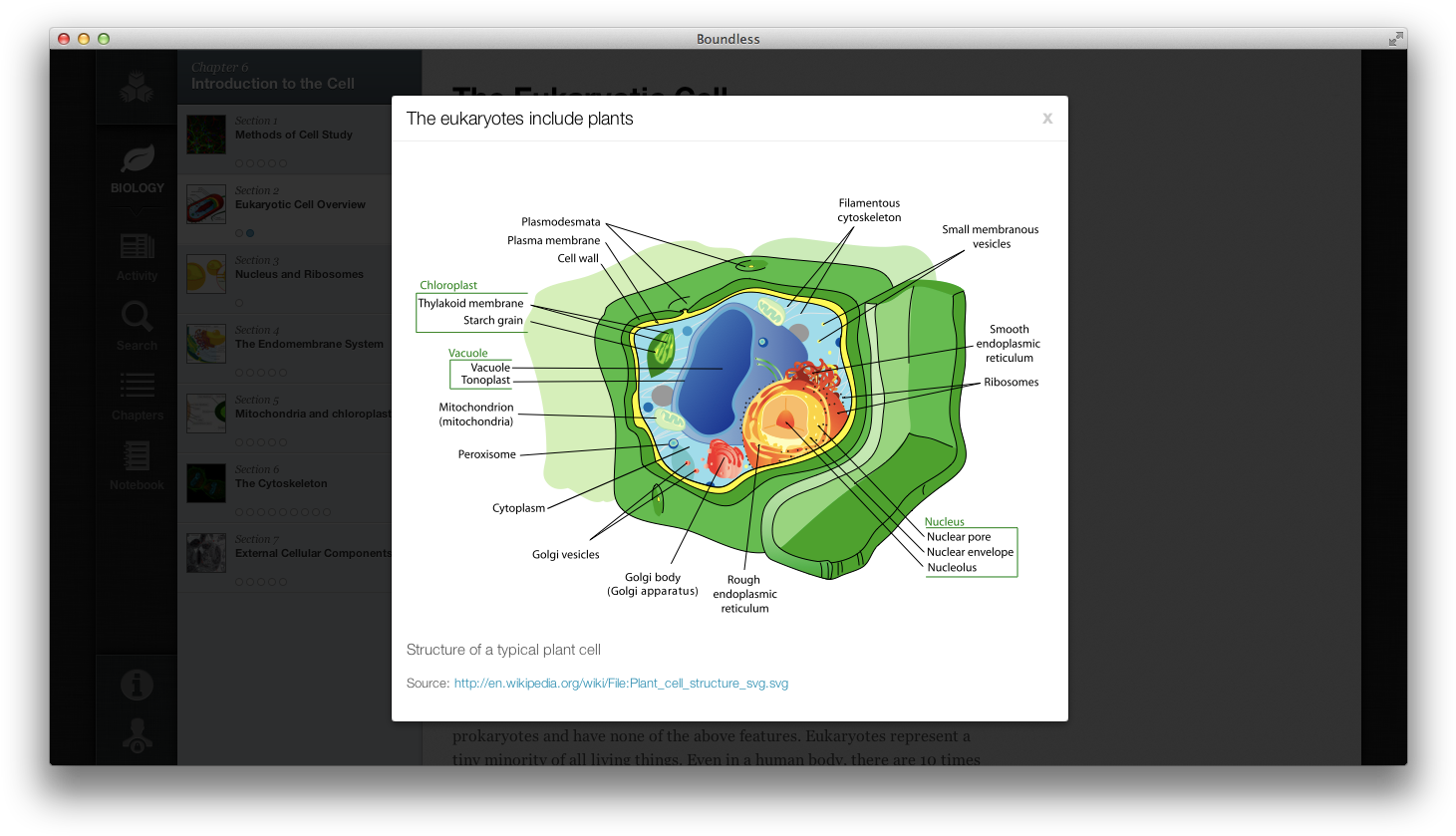 Plant Cell Structure (1476x854), Png Download